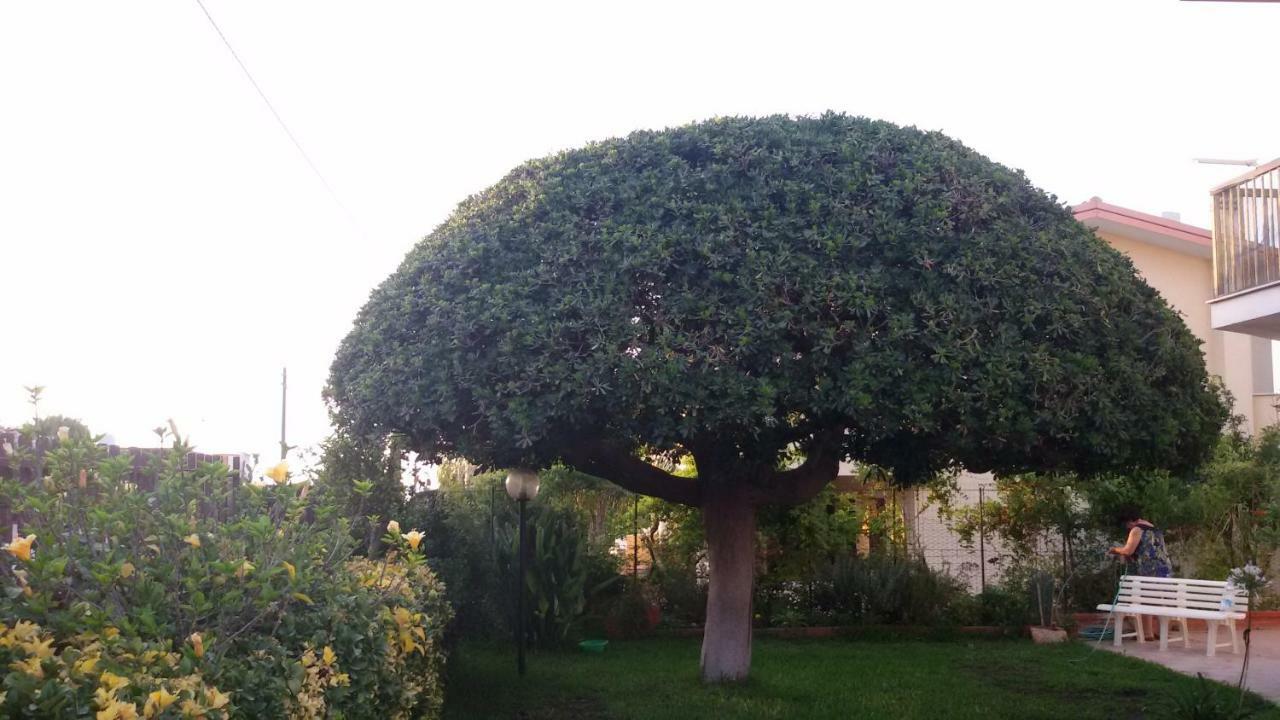 הוילה ברוקולי Casa Di Poseidone מראה חיצוני תמונה